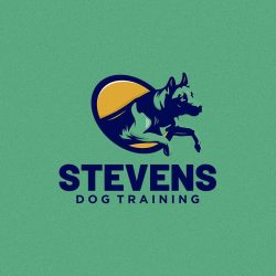 Worthey Marketing: Web Designing, Logo & SEO Services